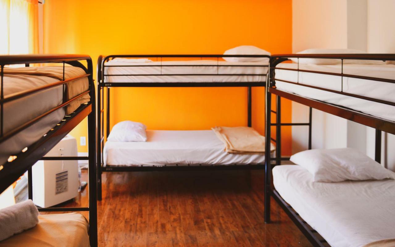 Kensington College Backpackers Hostel Toronto Hostel Beds photo